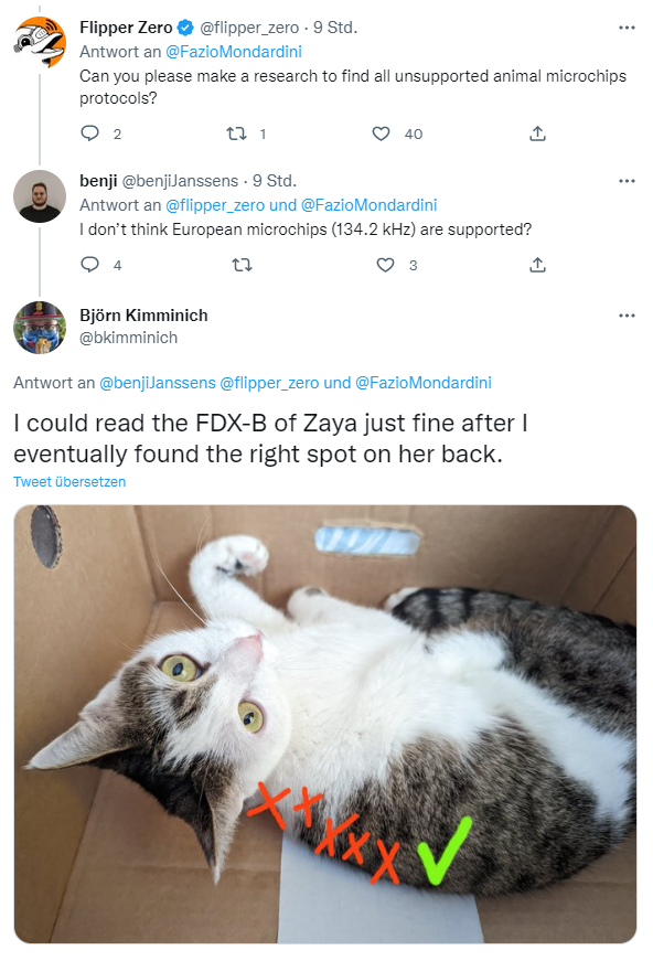Zaya in a box in another Tweet of Bjoern